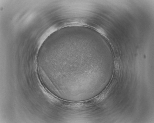 X0000056331474200509092315