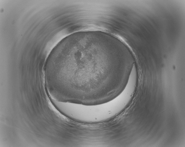 X0000056331476200509092315