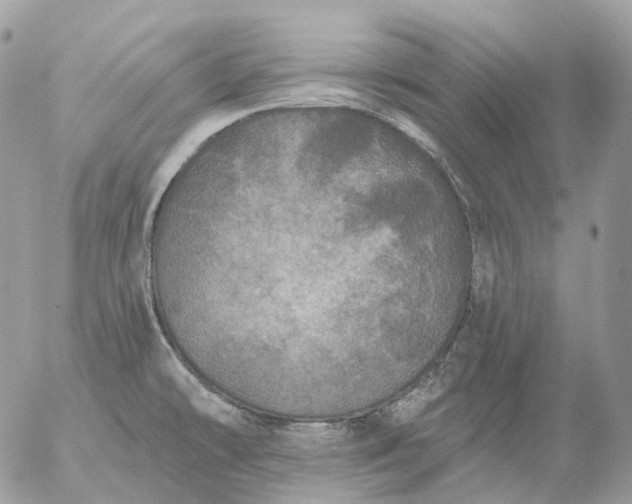 X0000056331478200509092315