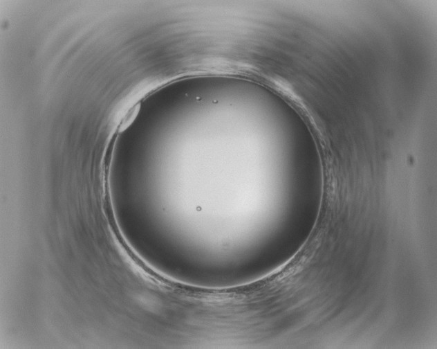 X0000056331479200509092315