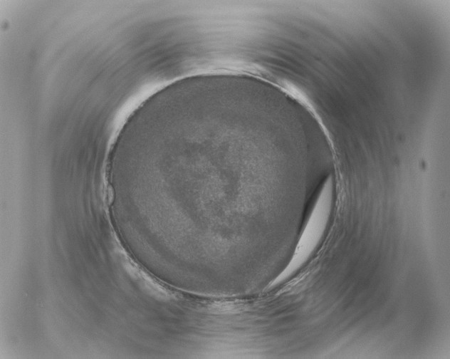 X0000056331480200509092315