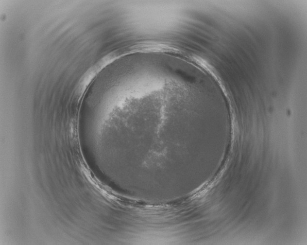 X0000056331481200509092315