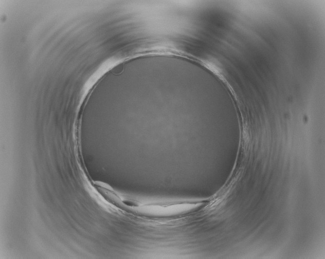 X0000056331482200509092315