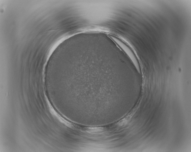 X0000056331483200509092315