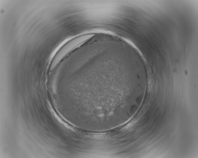 X0000056331484200509092315