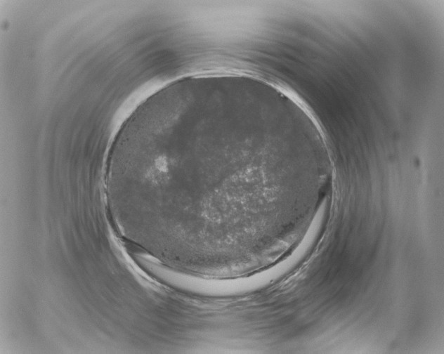 X0000056331485200509092315