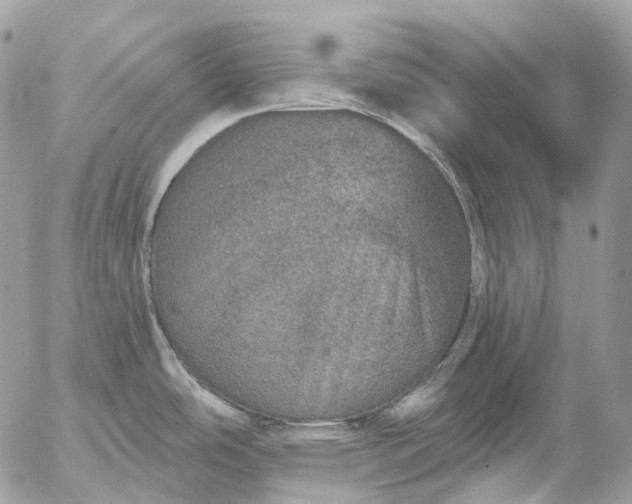 X0000056331486200509092315