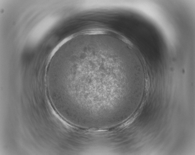 X0000056331487200509092315