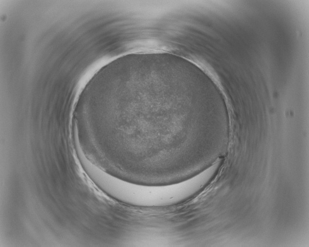 X0000056331488200509092315