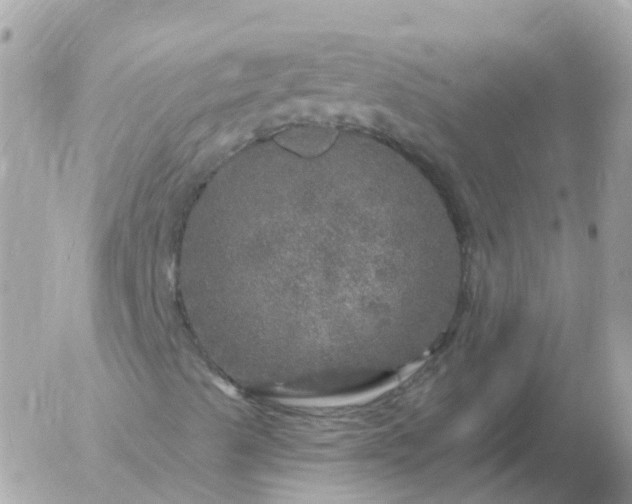 X0000056331489200509092314