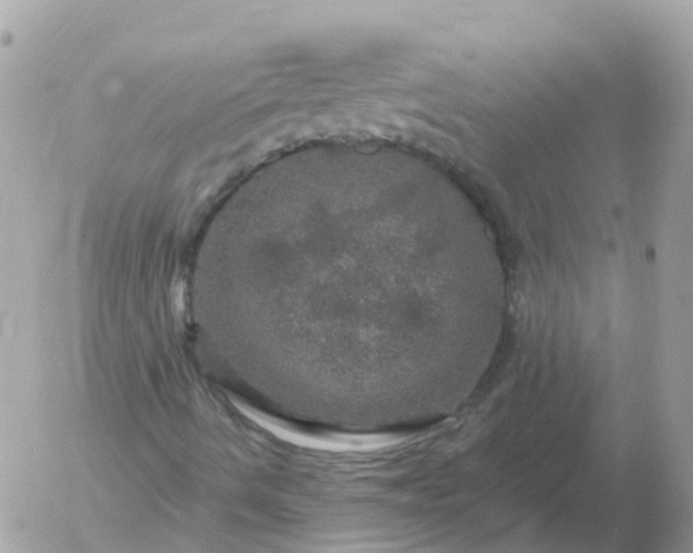 X0000056331490200509092314