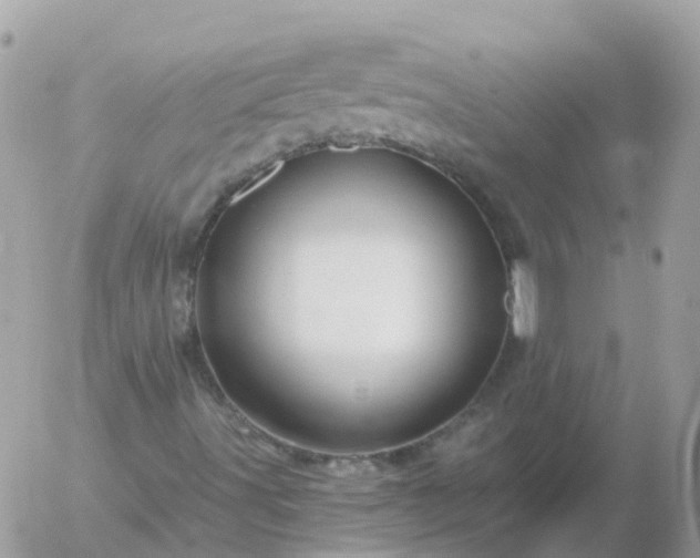 X0000056331491200509092314