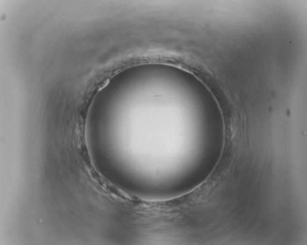 X0000056331493200509092314