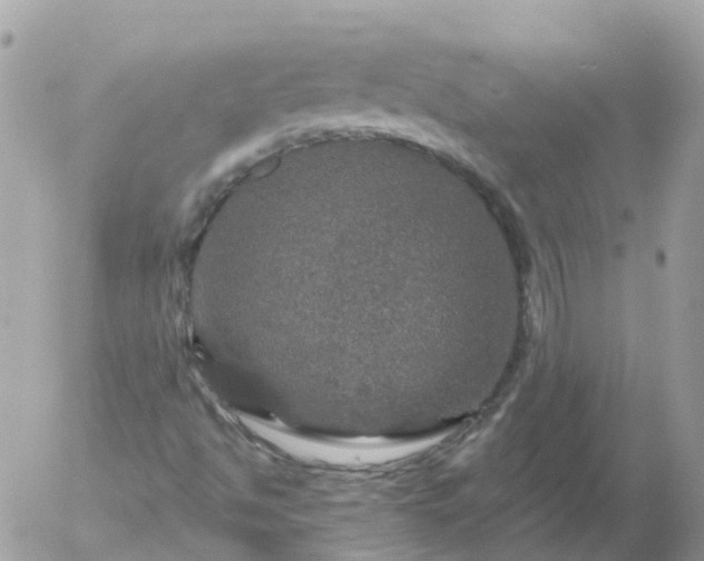 X0000056331494200509092314