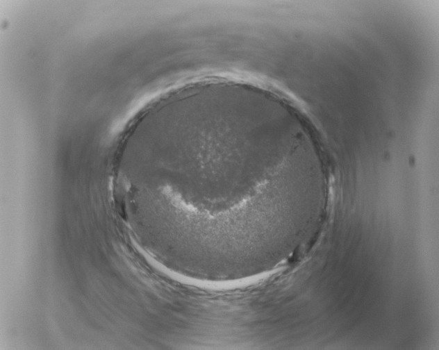 X0000056331496200509092315