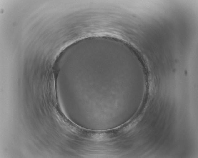 X0000056331497200509092315