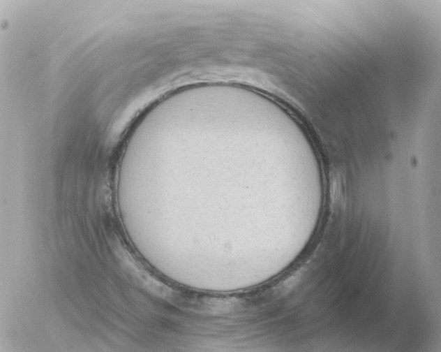 X0000056331498200509092315