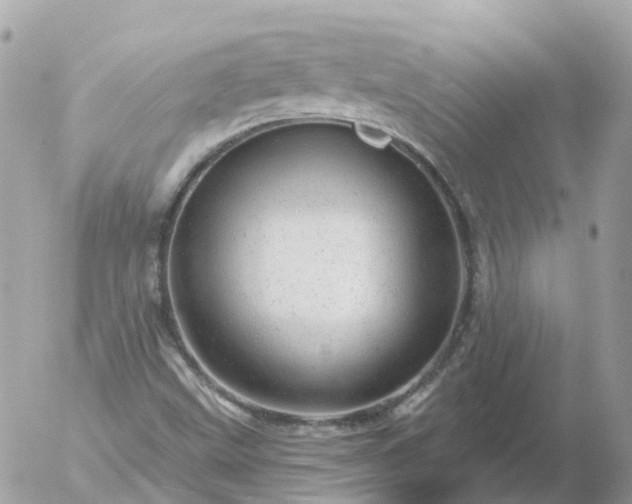 X0000056331499200509092315