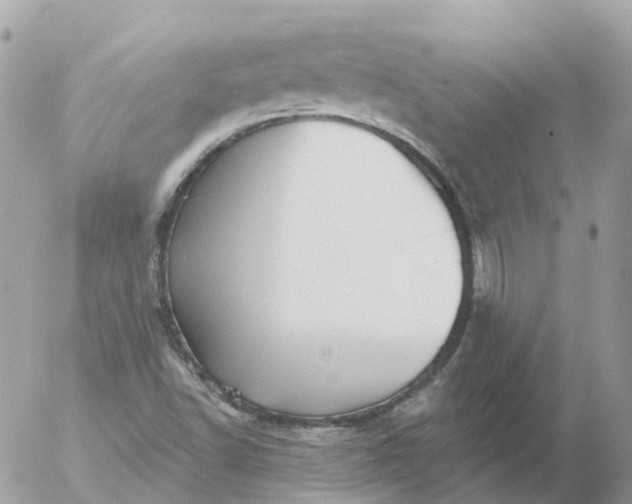 X0000056331502200509092315