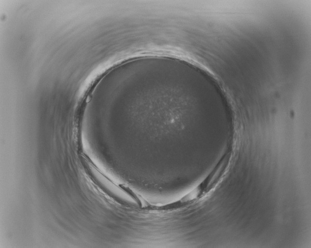 X0000056331506200509092315