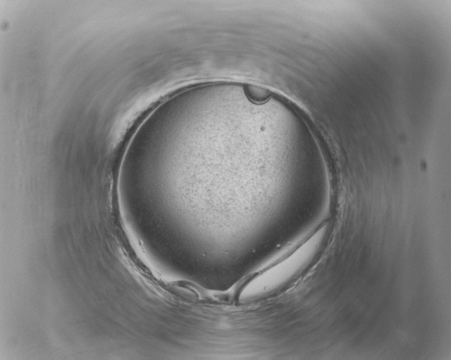 X0000056331507200509092315