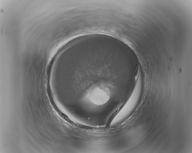 X0000056331508200509092315