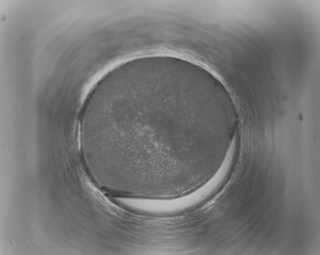 X0000056331510200509092315