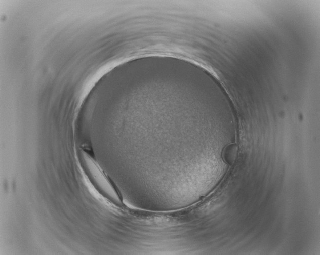 X0000056331515200509092315