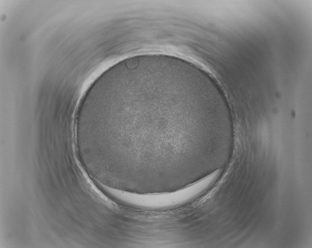 X0000056331517200509092315