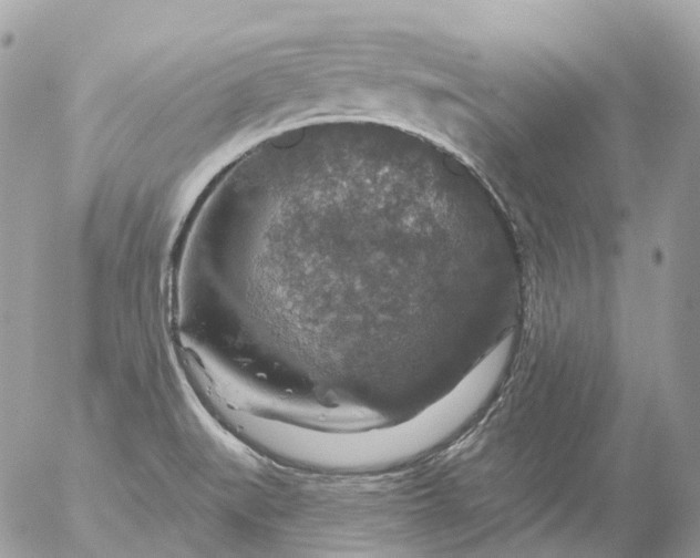 X0000056331519200509092315