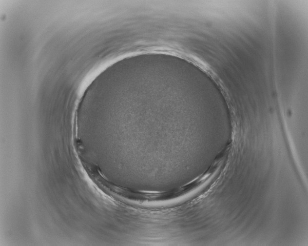 X0000056331520200509092315