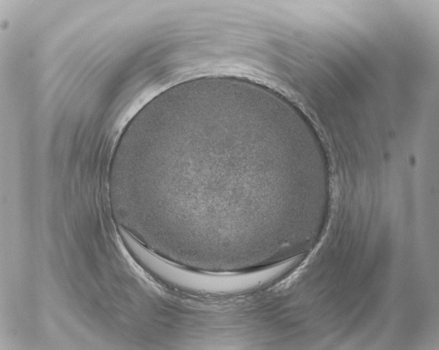 X0000056331521200509092315