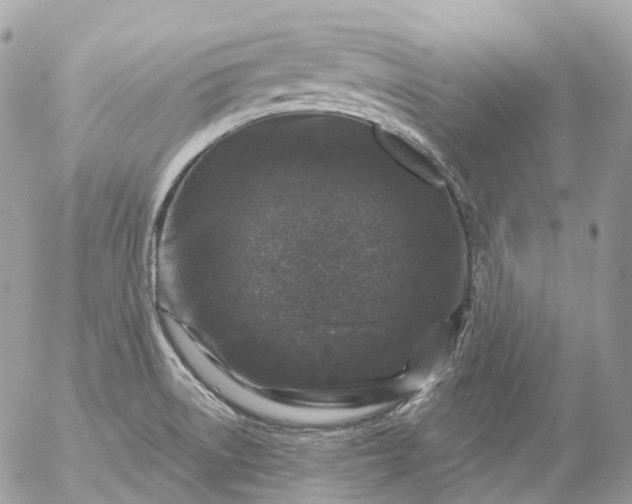 X0000056331522200509092315