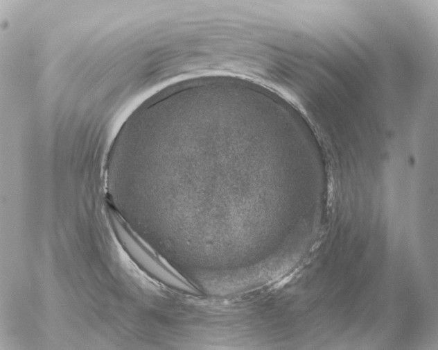 X0000056331524200509092315