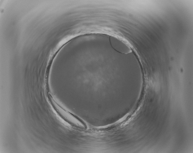 X0000056331525200509092315