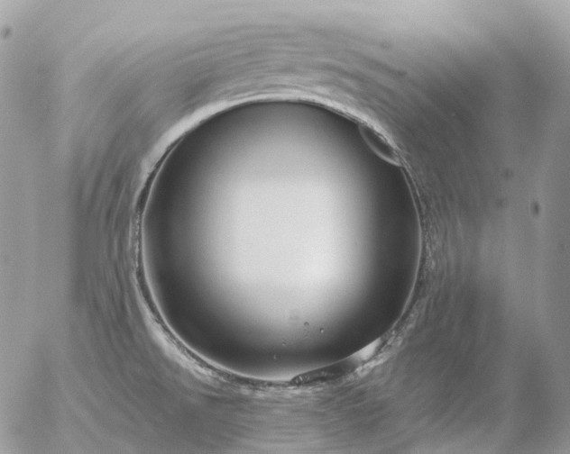 X0000056331526200509092315