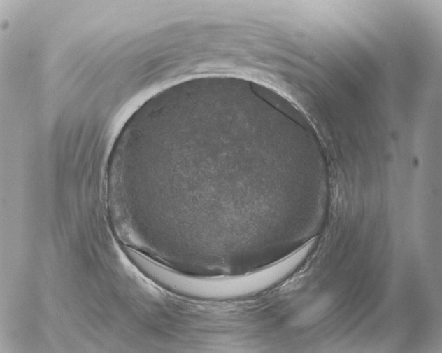 X0000056331527200509092315