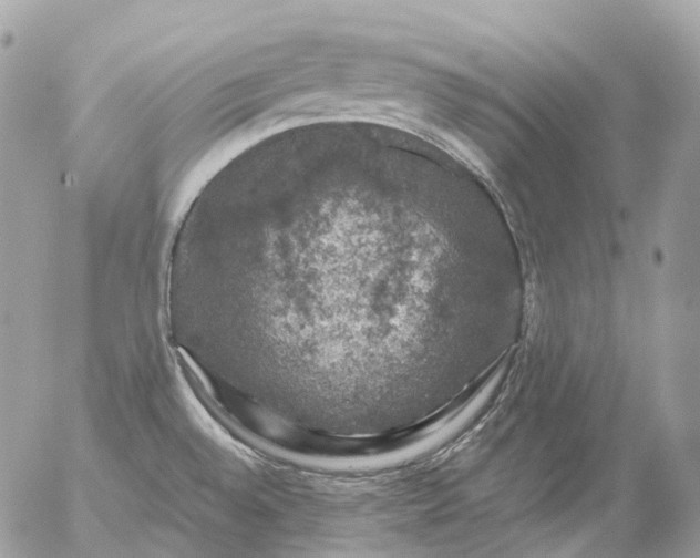 X0000056331528200509092315