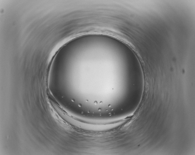 X0000056331530200509092315