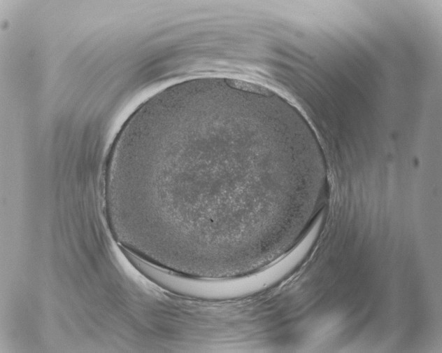 X0000056331531200509092315