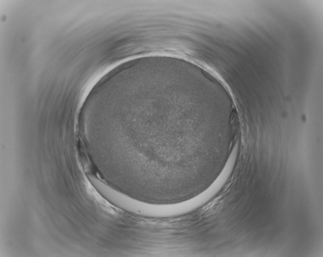 X0000056331532200509092315