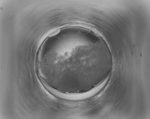 X0000056331533200509092315