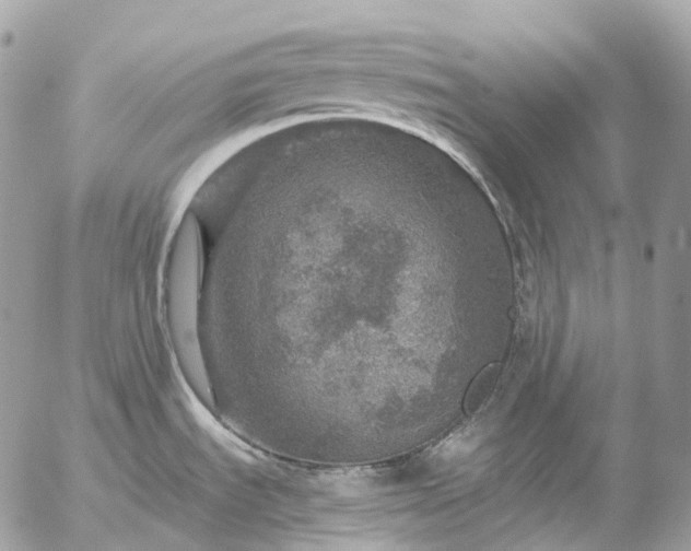 X0000056331535200509092315