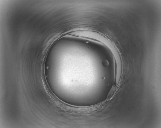 X0000056330001200509161722