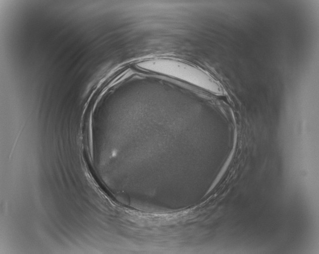 X0000056330002200509161722