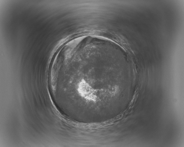 X0000056330003200509161722