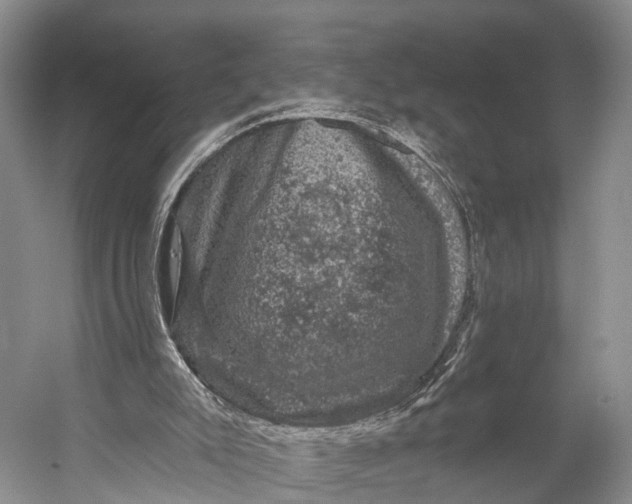 X0000056330007200509161721