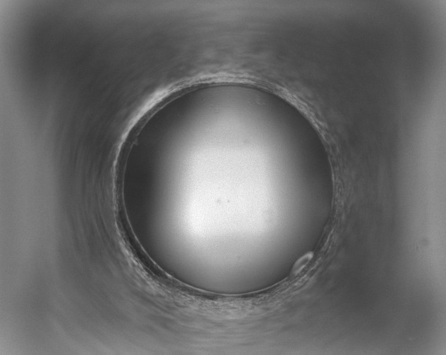 X0000056330008200509161721