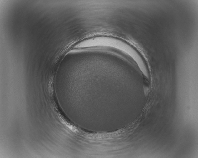 X0000056330009200509161721