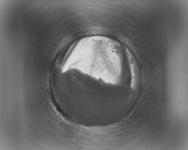 X0000056330010200509161721